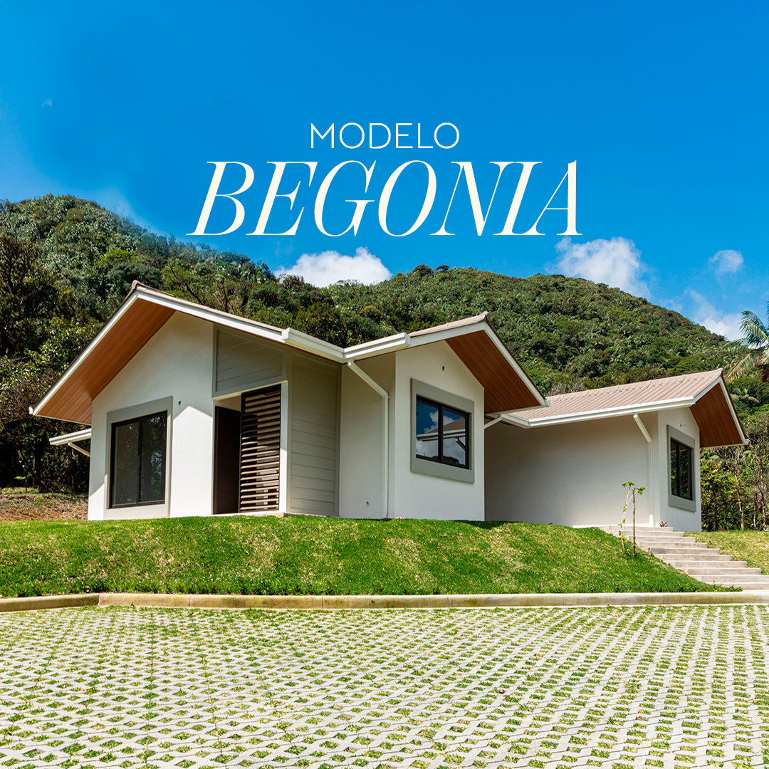 MODELO_BEGONIA_1080×1080 MODELO_BEGONIA_1080×1080